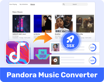 Pandora Music Converter