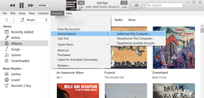 Choose Authorize This Computer in iTunes