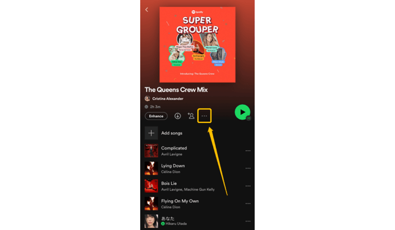 Successfully Created Spotify Collaborative Playlist on Mobile