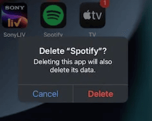 Delete Spotify App on iPhone