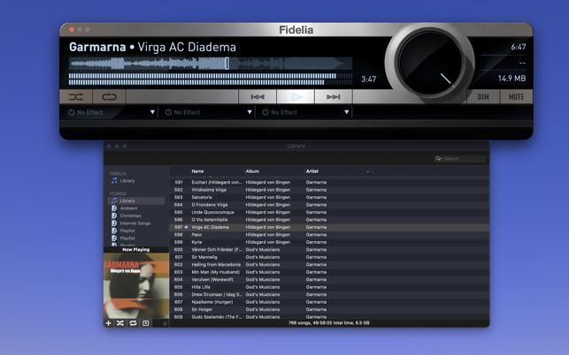 Fidelia Interface