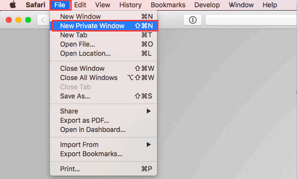 Open Safari Private Window