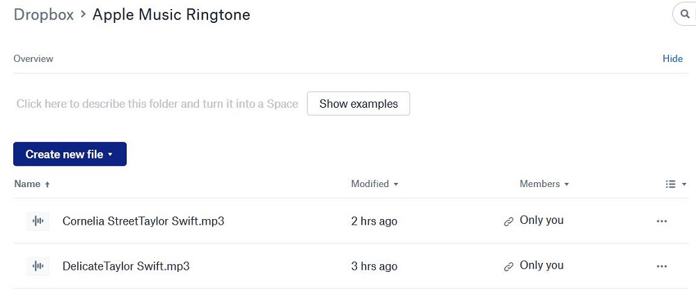 Apple Music을 Dropbox로 전송