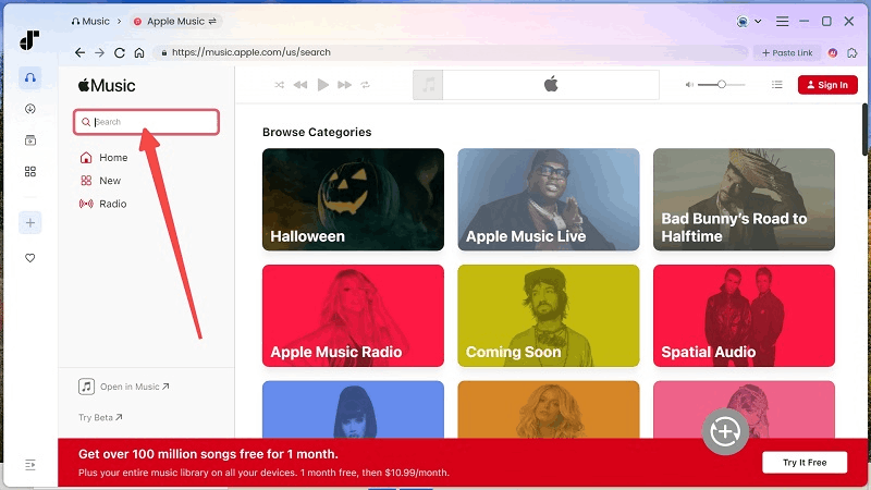Add Apple Music to Convert