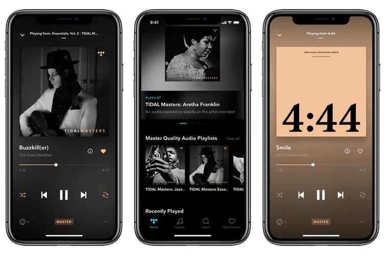 Tidal App Interface