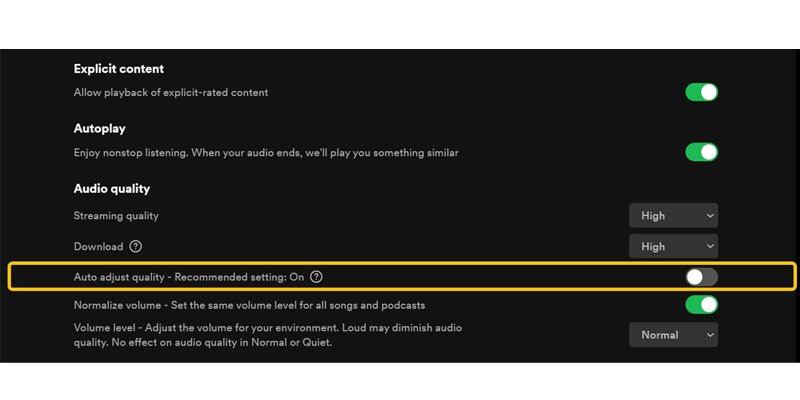 Turn off Audio Adjust Quality on Desktop Spotify