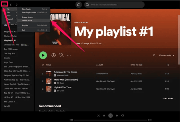 Access Spotify Offline Content