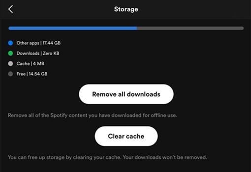 Clear Spotify Caches on iPhone