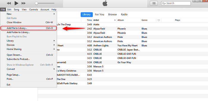 Aggiungi musica alla libreria di iTunes