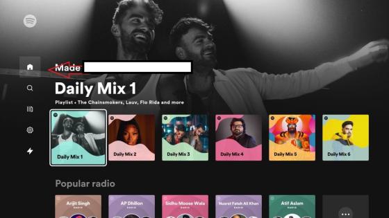 Browse and Play Spotify Music on Firestick