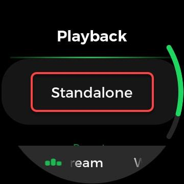 Turn to Standalone on Samsung Gear S3