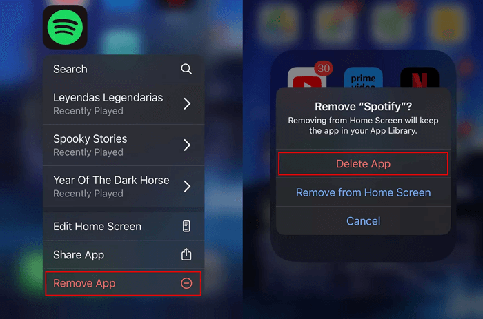 Remova o aplicativo Spotify no iOS