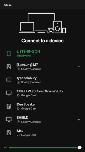 Use Spotify Connect Play on Squeezebox